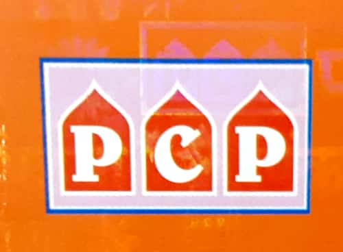 Pink City Publications