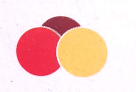 threedot publication