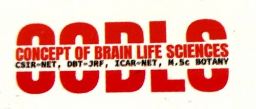 CONCEPT OF BRAIN LIFE SCIENCES